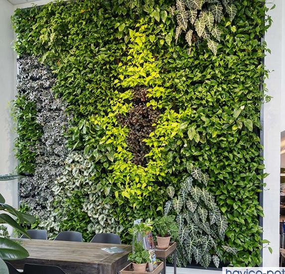 túi vải trồng cây treo tường với nhiều ngăn màu xanh lá cây bố trí đẹp mắt trên bức tường ngoài trời